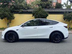 Tesla Model Y Long Range Edition - фото 4