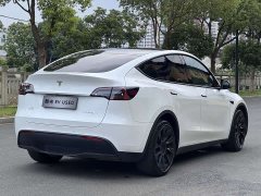 Tesla Model Y Long Range Edition - фото 5