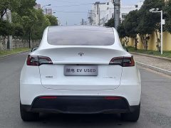 Tesla Model Y Long Range Edition - фото 6