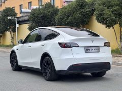 Tesla Model Y Long Range Edition - фото 7