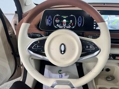 Ora 400kmStandard Range Edition - фото 11