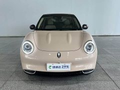 Ora 400kmStandard Range Edition - фото 15