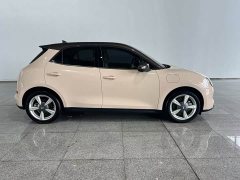 Ora 400kmStandard Range Edition - фото 2