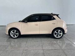 Ora 400kmStandard Range Edition - фото 3