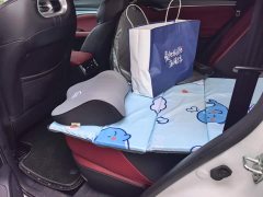 Changan CS75PLUS 1.5T Premium Version - фото 11