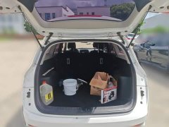 Baojun 310W 1.5L Version VI - фото 10