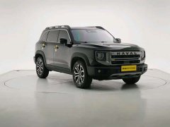 Haval Big Dog 2024 1.5T DCT Border Collie Edition - фото 7