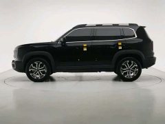 Haval Big Dog 2024 1.5T DCT Border Collie Edition - фото 8