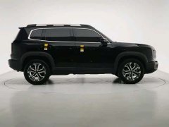 Haval Big Dog 2024 1.5T DCT Border Collie Edition - фото 9