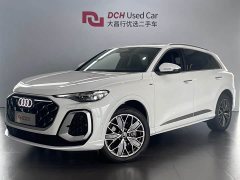 Audi Q5L 2.0T Luxury Version - фото 1