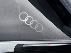 Audi Q5L 2.0T Luxury Version - фото 20