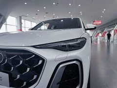 Audi Q5L 2.0T Luxury Version - фото 9