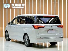 Buick GL8 ES 653T Deluxe Version - фото 18