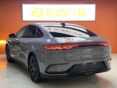 BYD DM-i Smart Drive Edition 125KM Version - фото 8
