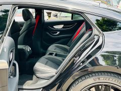 Mercedes-Benz AMG GT AMG GT 50 Edition - фото 17