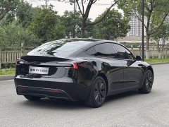 Tesla Model 3 Long Range Edition - фото 3