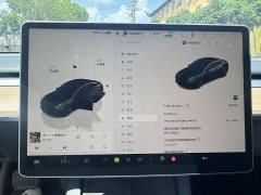 Tesla Model 3 Edition - фото 8