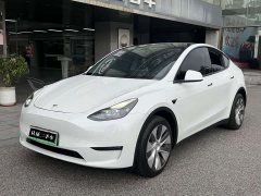 Tesla Model Y Long Range Edition - фото 1
