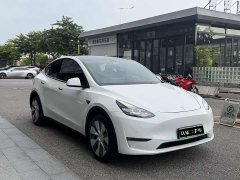 Tesla Model Y Long Range Edition - фото 3