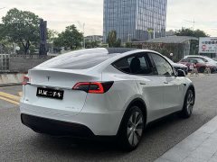Tesla Model Y Long Range Edition - фото 7