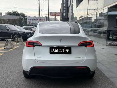 Tesla Model Y Long Range Edition - фото 8