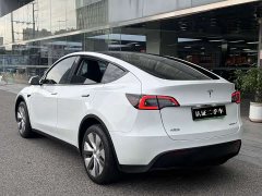 Tesla Model Y Long Range Edition - фото 9