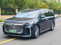 Voyah PHEV AWDFlagship Edition - фото 2