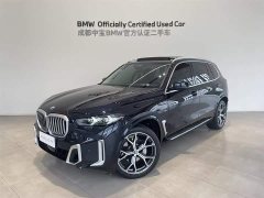 BMW X5 2023 xDrive 30Li Exclusive M Sports Night Package - фото 1