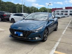 240TGDi DCT LUXPremium Edition - фото 1