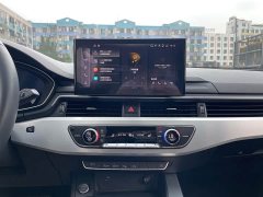 Audi A4L 40 TFSI quattro Luxury Version - фото 15