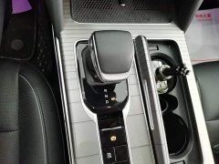 Hongqi HS7 PHEV 2.0T PHEV AWD Edition 6 - фото 14