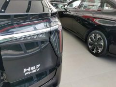 Hongqi HS7 PHEV 2.0T PHEV AWD Edition 6 - фото 8