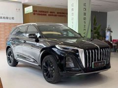 Hongqi HS3 PHEV 125km PLUS 200Anniversary Edition - фото 5