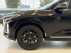 Hongqi HS3 PHEV 125km PLUS 200Anniversary Edition - фото 7