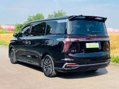 Hongqi HQ9 PHEV 2.0T AWDLuxury Edition - фото 6