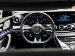 Mercedes-Benz AMG GT AMG GT 50 - фото 6