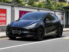 Tesla Model Y Standard Range Edition - фото 1