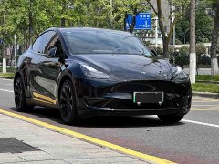 Tesla Model Y Standard Range Edition - фото 3
