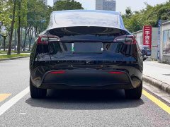 Tesla Model Y Standard Range Edition - фото 4