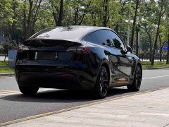 Tesla Model Y Standard Range Edition - фото 5
