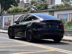 Tesla Model Y Standard Range Edition - фото 6