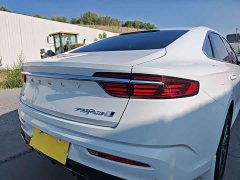 2.0TD Luxury Version - фото 10