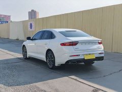 2.0TD Luxury Version - фото 7