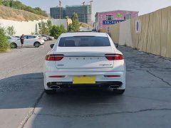 2.0TD Luxury Version - фото 8