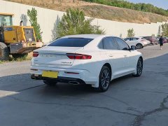 2.0TD Luxury Version - фото 9