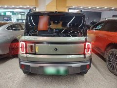 Baojun Plus Edition 4 - фото 6