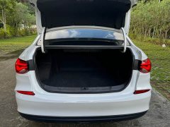 Lexus Monza 2020 Mild-Hybrid Redline 320T Dual-Clutch Refresh Edition - фото 19