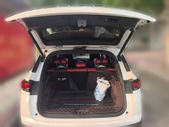 Changan CS35PLUS NE 1.4T DCTPremium Version - фото 20