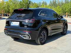 Hongqi HS5 2.0T Pro Edition - фото 9