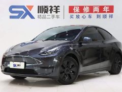 Tesla Model Y Edition - фото 1